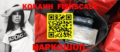 шишки Заводоуковск