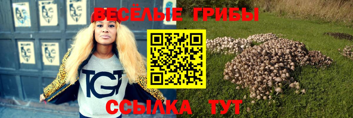 Псилоцибиновые грибы мицелий  Вход с VPN  как найти закладки  Черкесск 